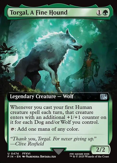 Torgal, A Fine Hound